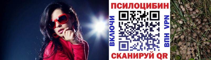 Купить закладки  Мезень  Псилоцибиновые грибы Psilocybine cubensis 