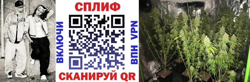 Бошки марихуана планчик  Купить  Мезень 